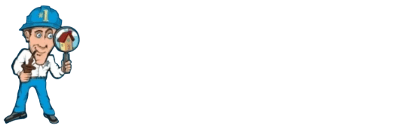 Inspector Budget